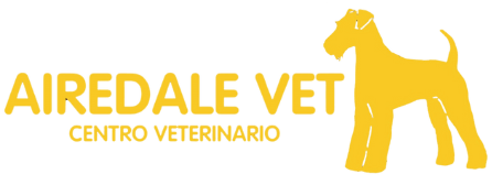 Centro Veterinario Airedale Vet, ir a la página principal